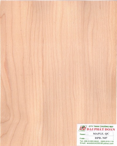 Veneer Maple sọc tự nhiên - Veneer Đại Phát Đoàn - Công Ty TNHH TM Đại Phát Đoàn